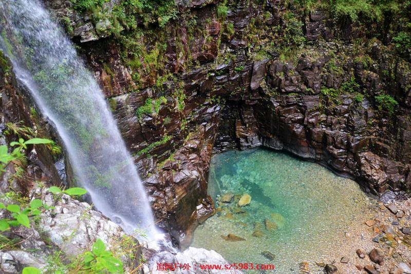 120538annmn4d4c3hc0vth