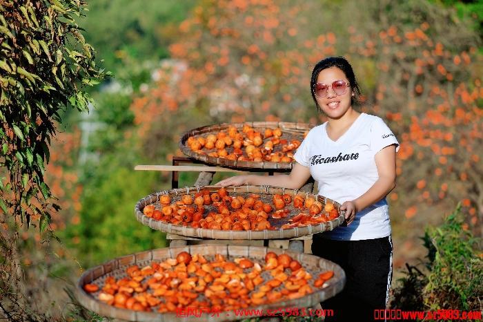 172913ky7vpbppby7s57d5