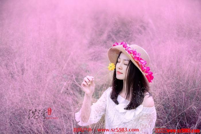 225947ni8ymyrk7pgnmdyp