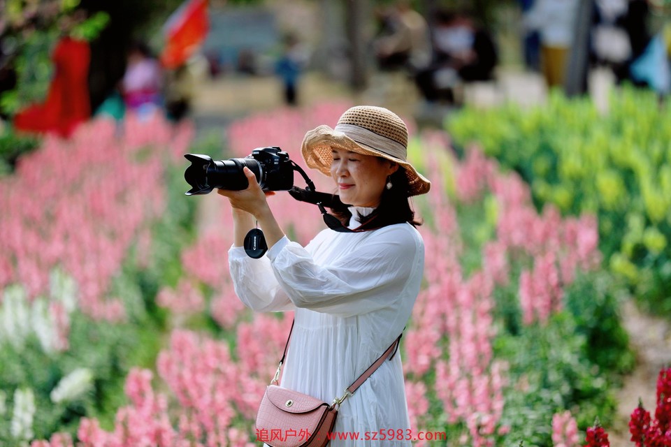 IMG_PITU_20210307_151554