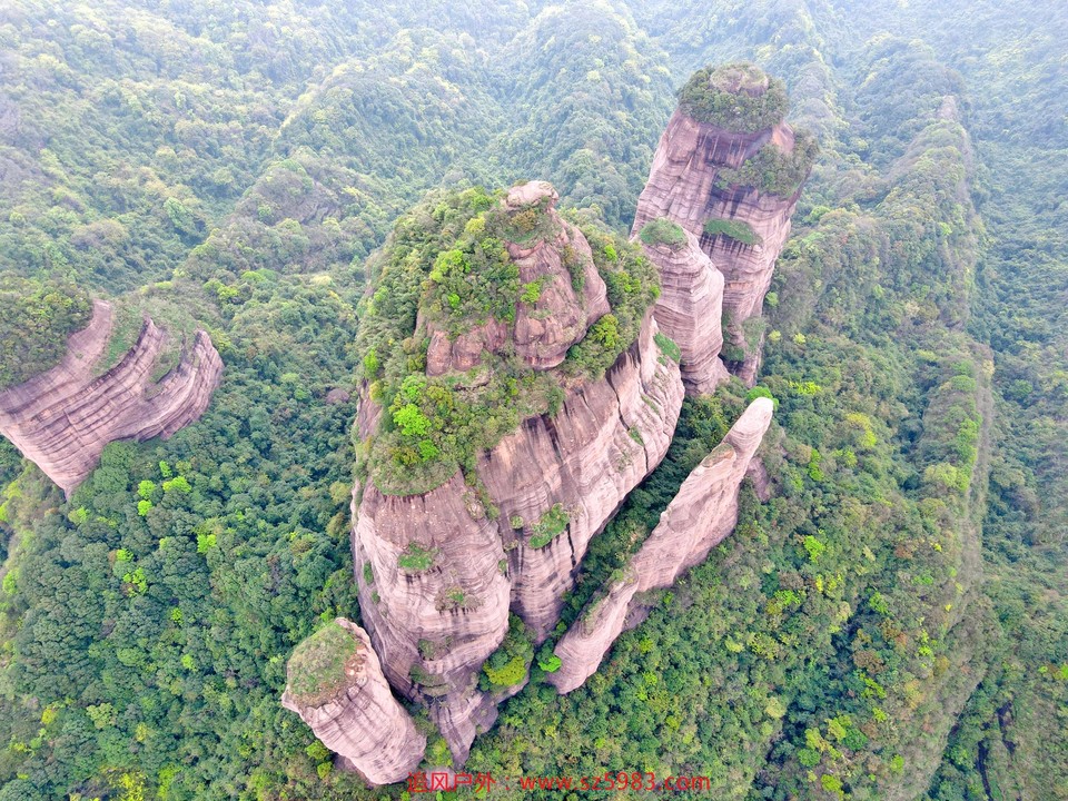 IMG_PITU_20210314_095518