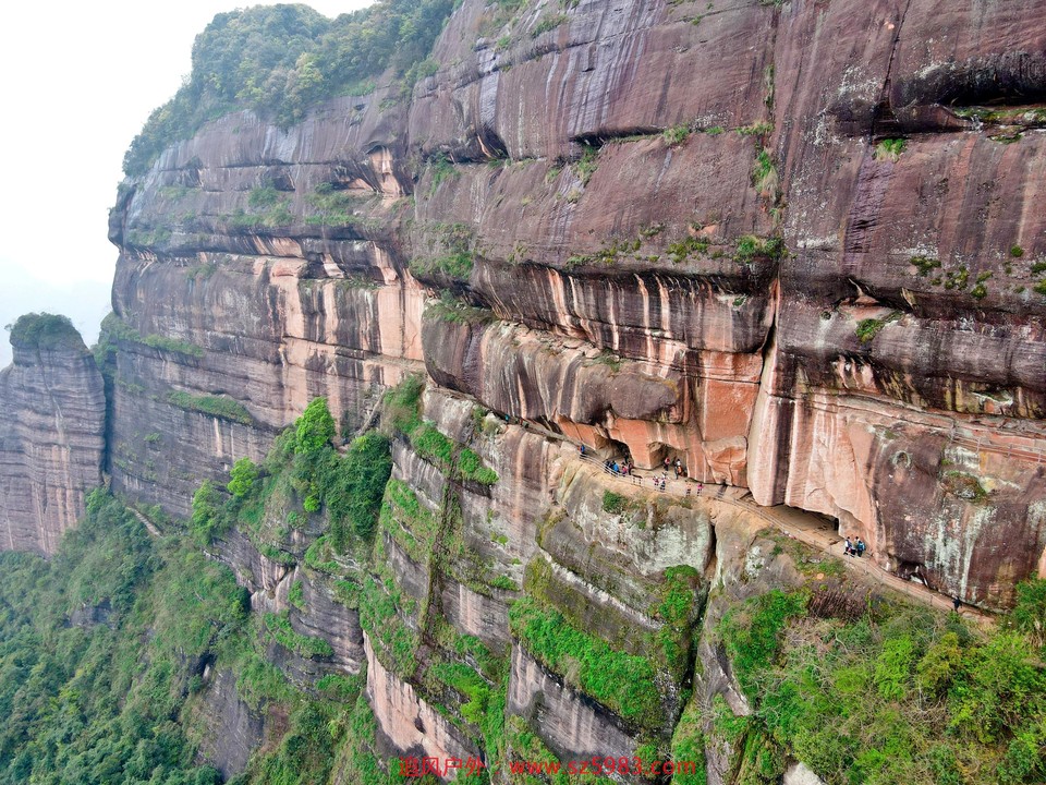 IMG_PITU_20210314_095534