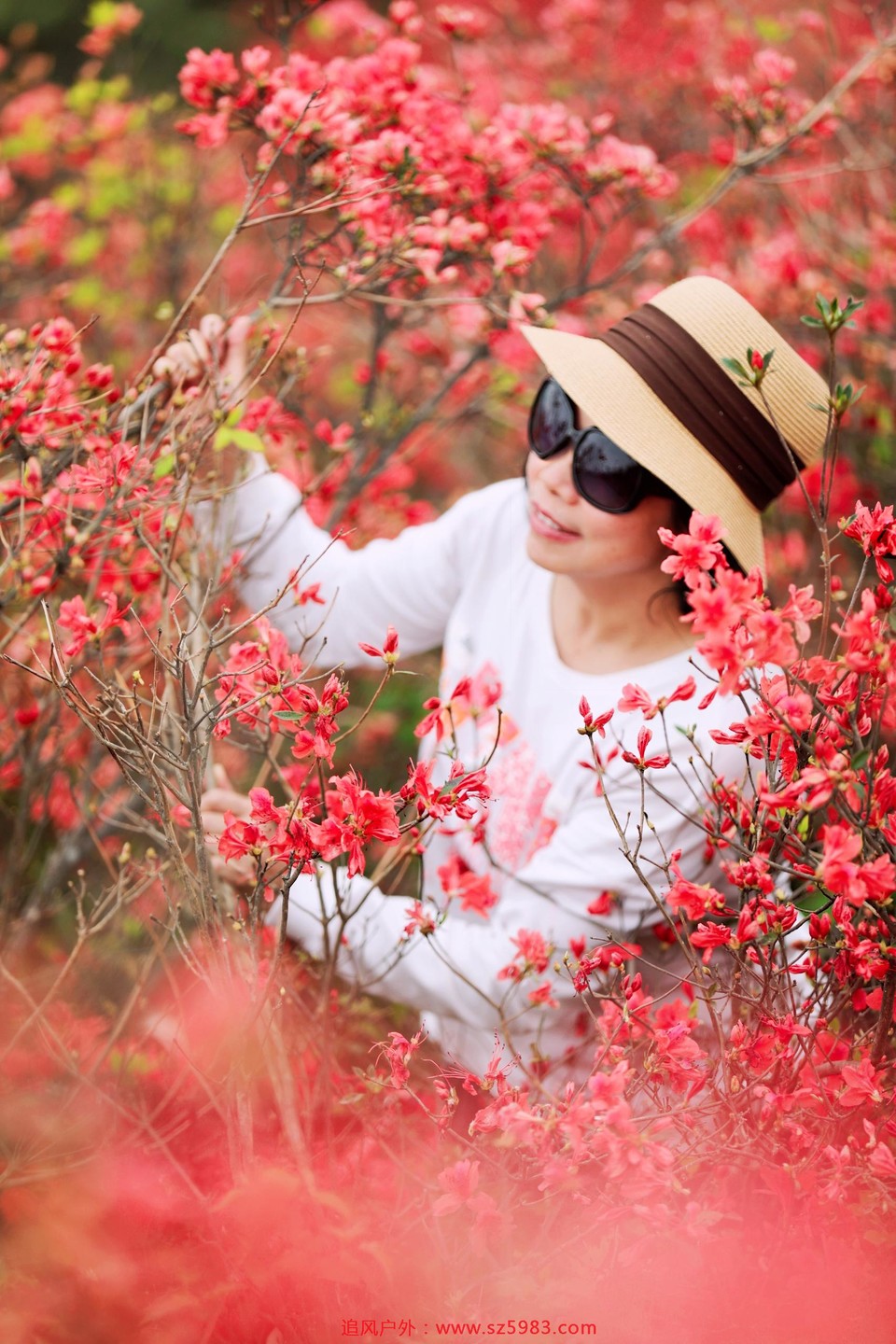 IMG_PITU_20210327_195752