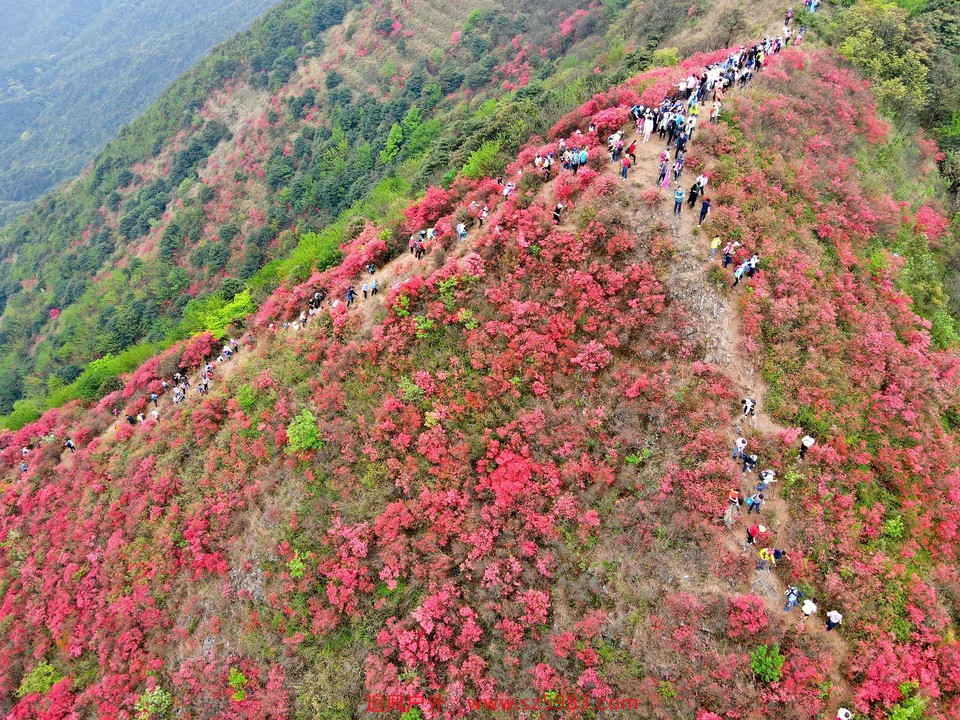 IMG_PITU_20210327_214246