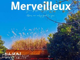 mmexport1638792178092