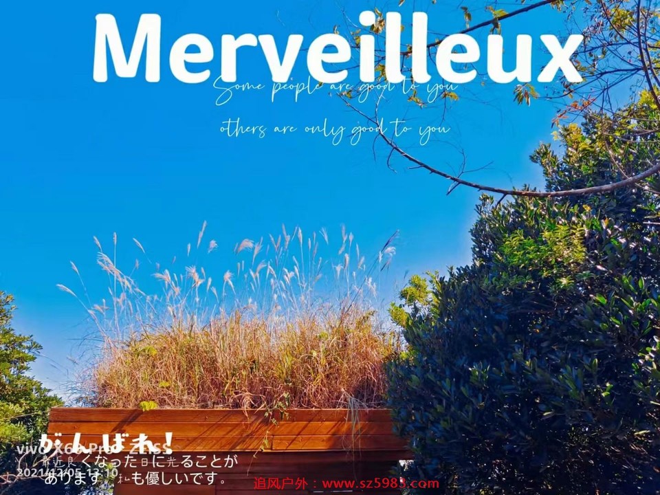 mmexport1638792178092