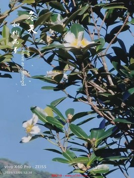 mmexport1638792174846