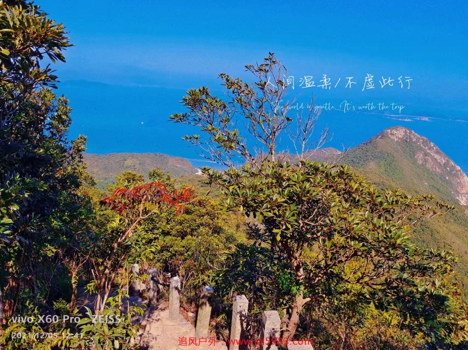 mmexport1638758268611