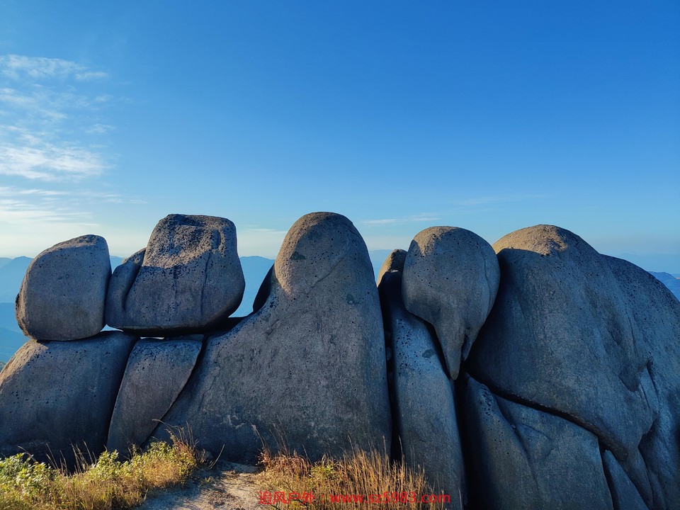 mmexport1638703869044