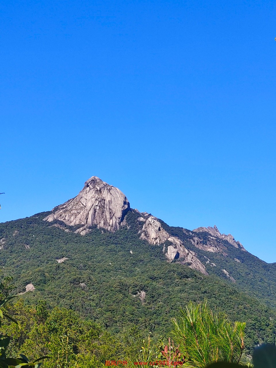 mmexport1638703725512