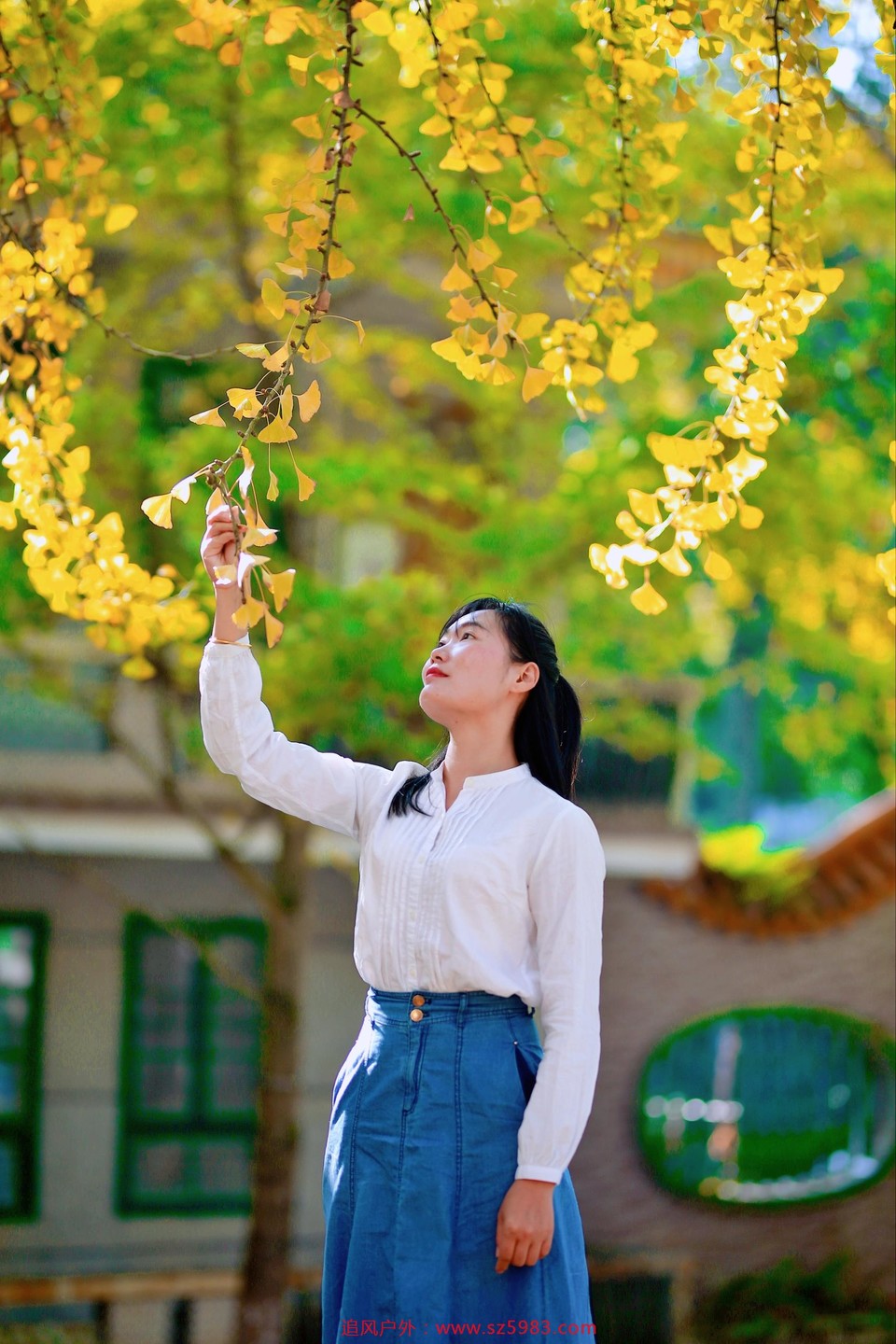 微信图片_20221114224306