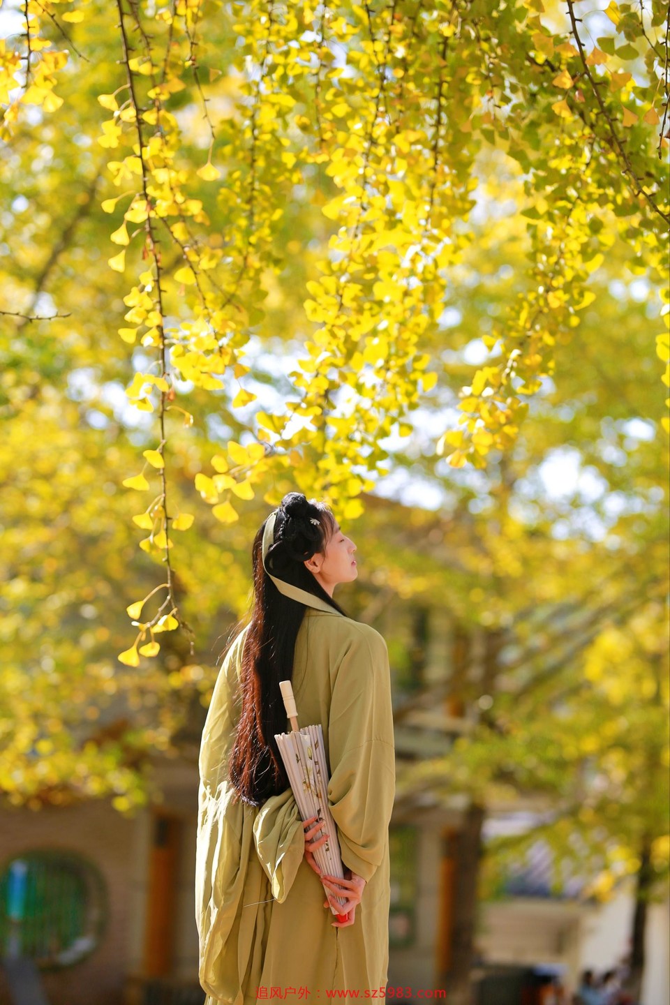 微信图片_20221114224559