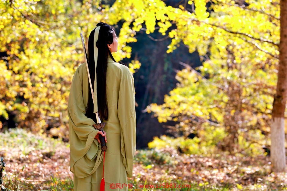 微信图片_20221114224626