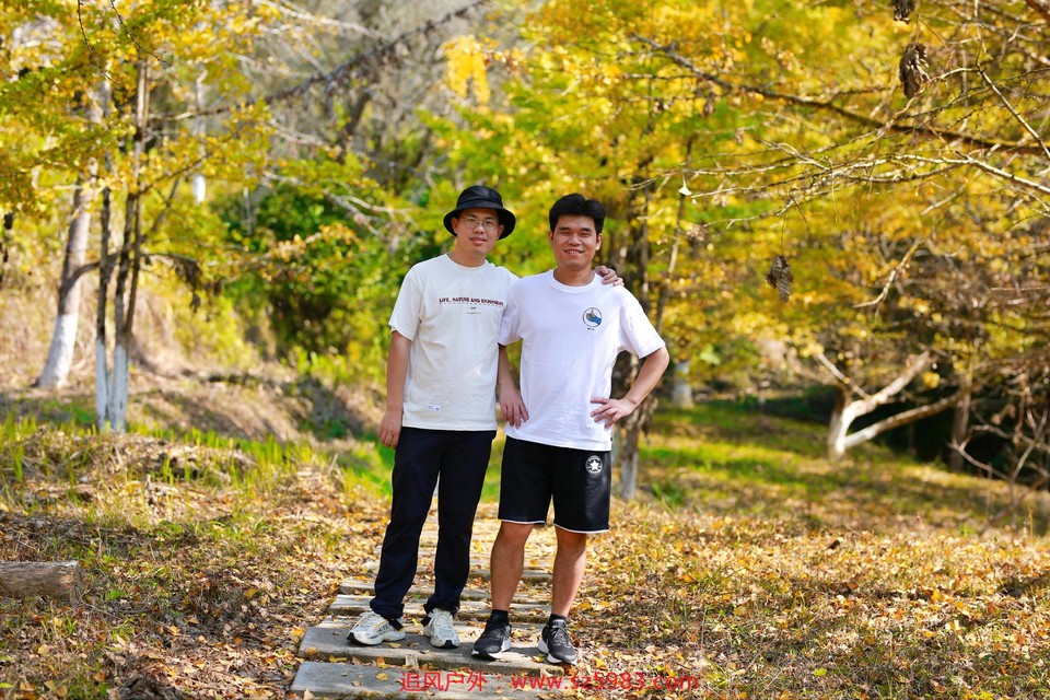 微信图片_20221114224635