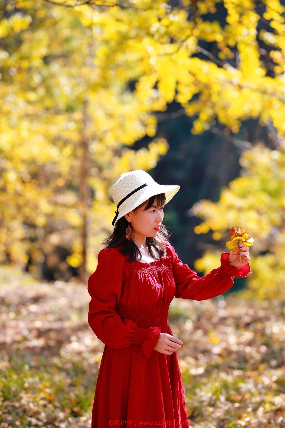 微信图片_20221114224644