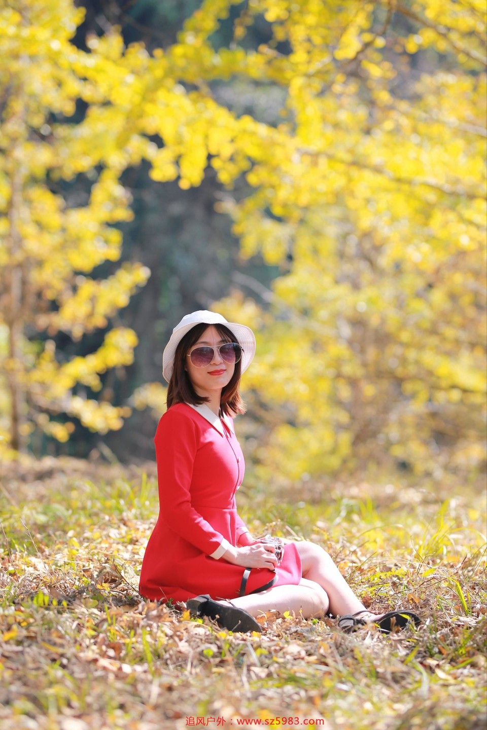 微信图片_20221114224653