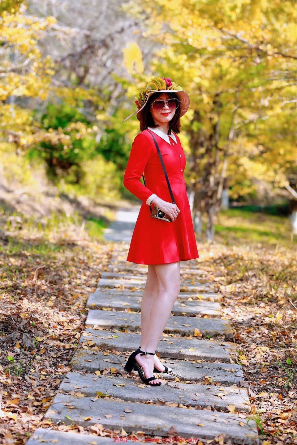 微信图片_20221114224714