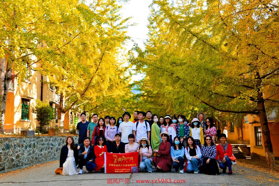 微信图片_20221114224724