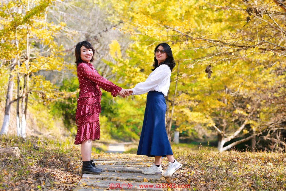 微信图片_20221114224733