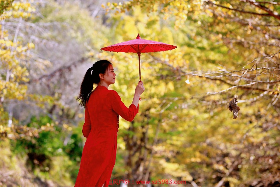 微信图片_20221114224742