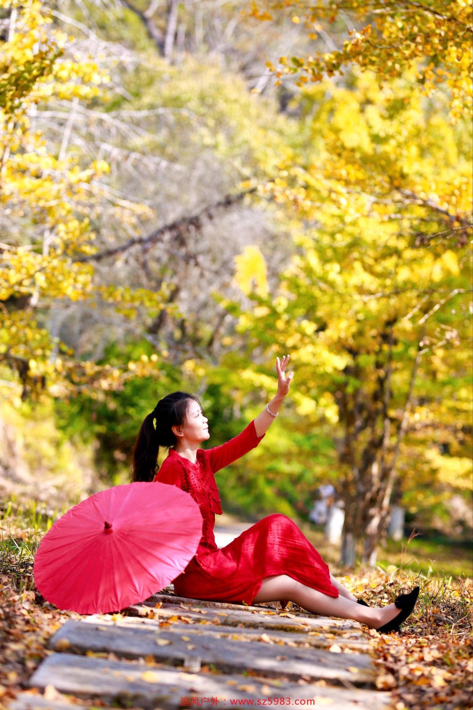 微信图片_20221114224755