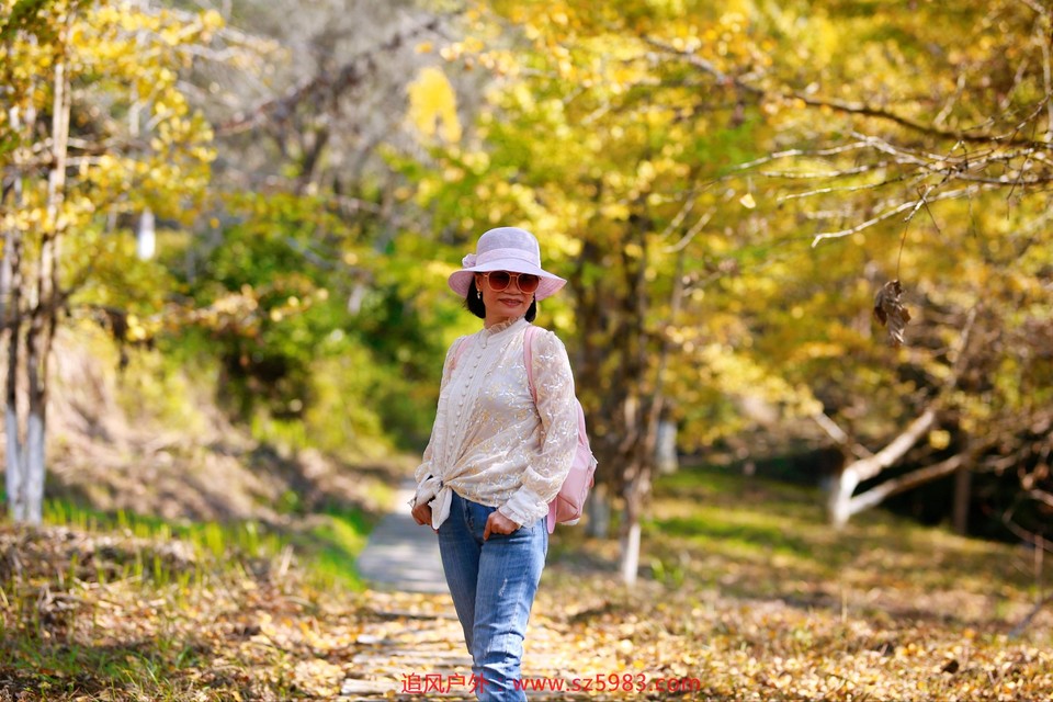 微信图片_20221114224804