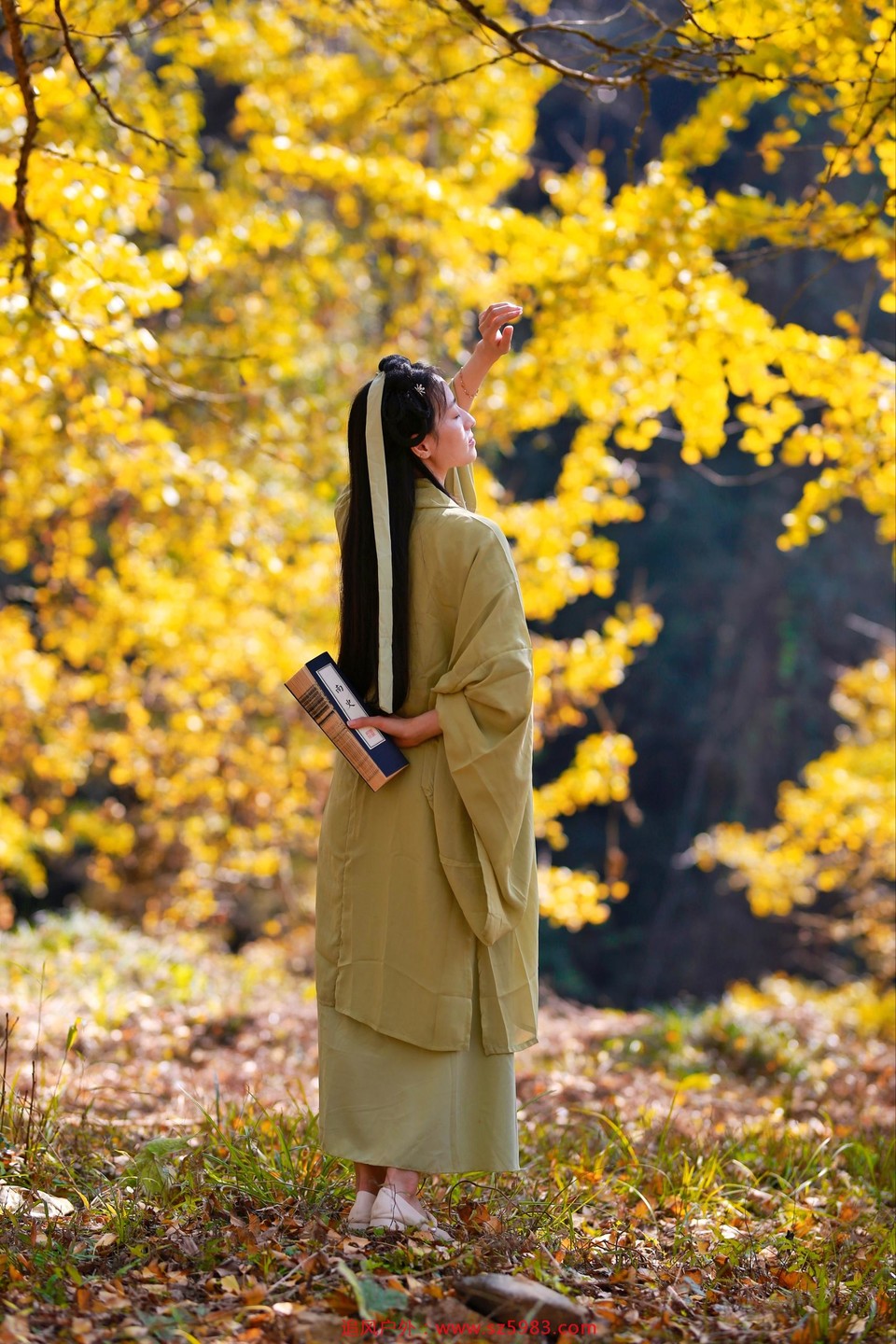 微信图片_20221114224813