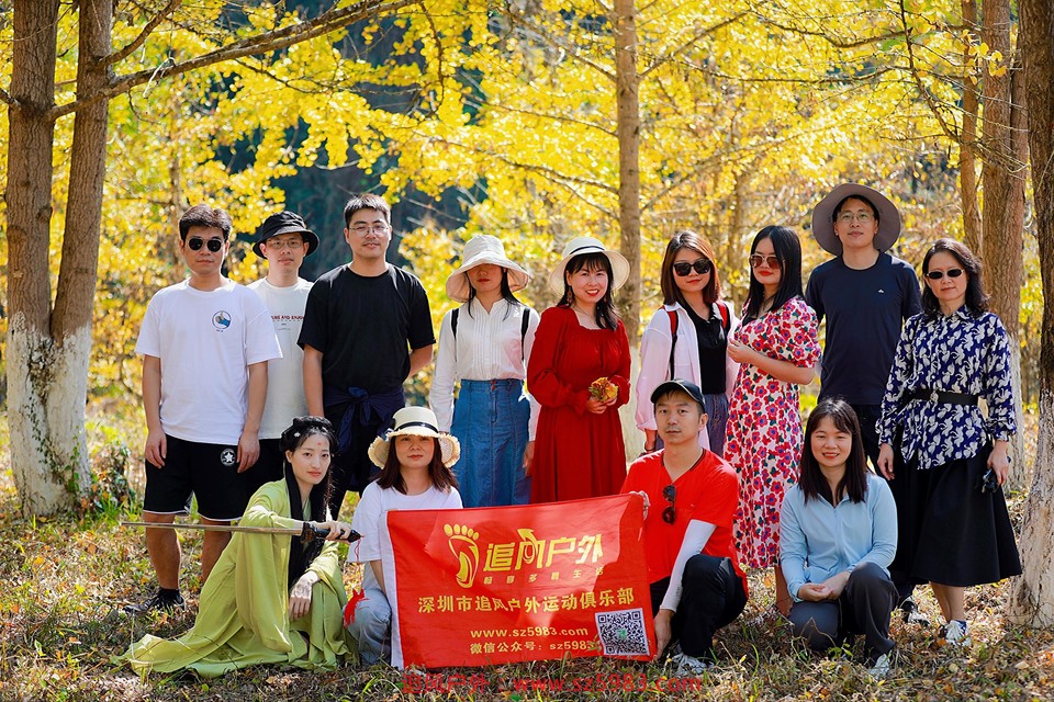 微信图片_20221114224936