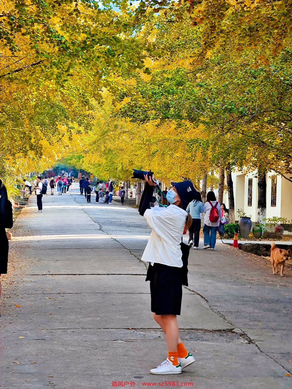 微信图片_20221114224946