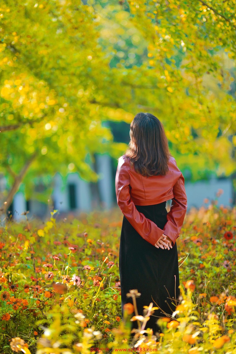 微信图片_20221114225021