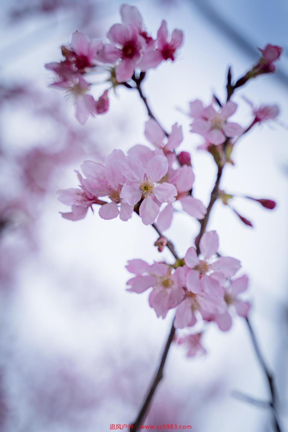 微信图片_20230221135528