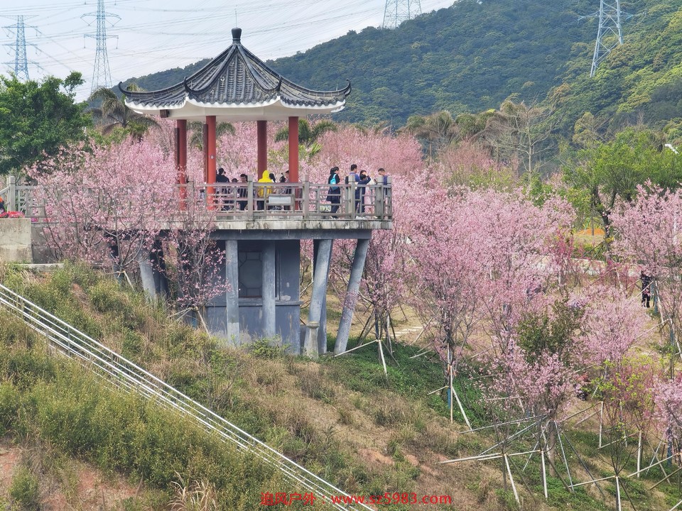 微信图片_20230221135644