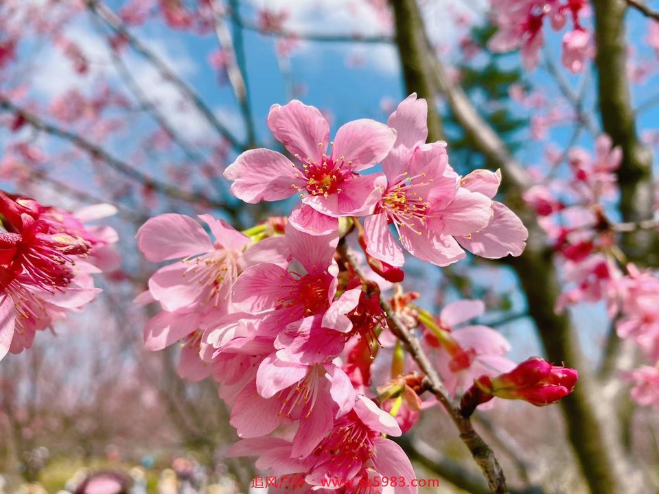 微信图片_20230221135838