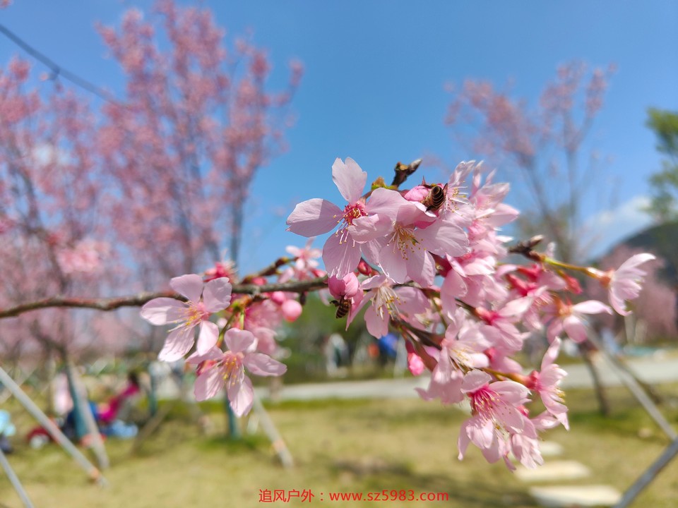 微信图片_20230221140650