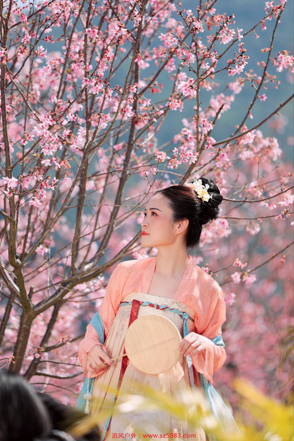 微信图片_20230223113342