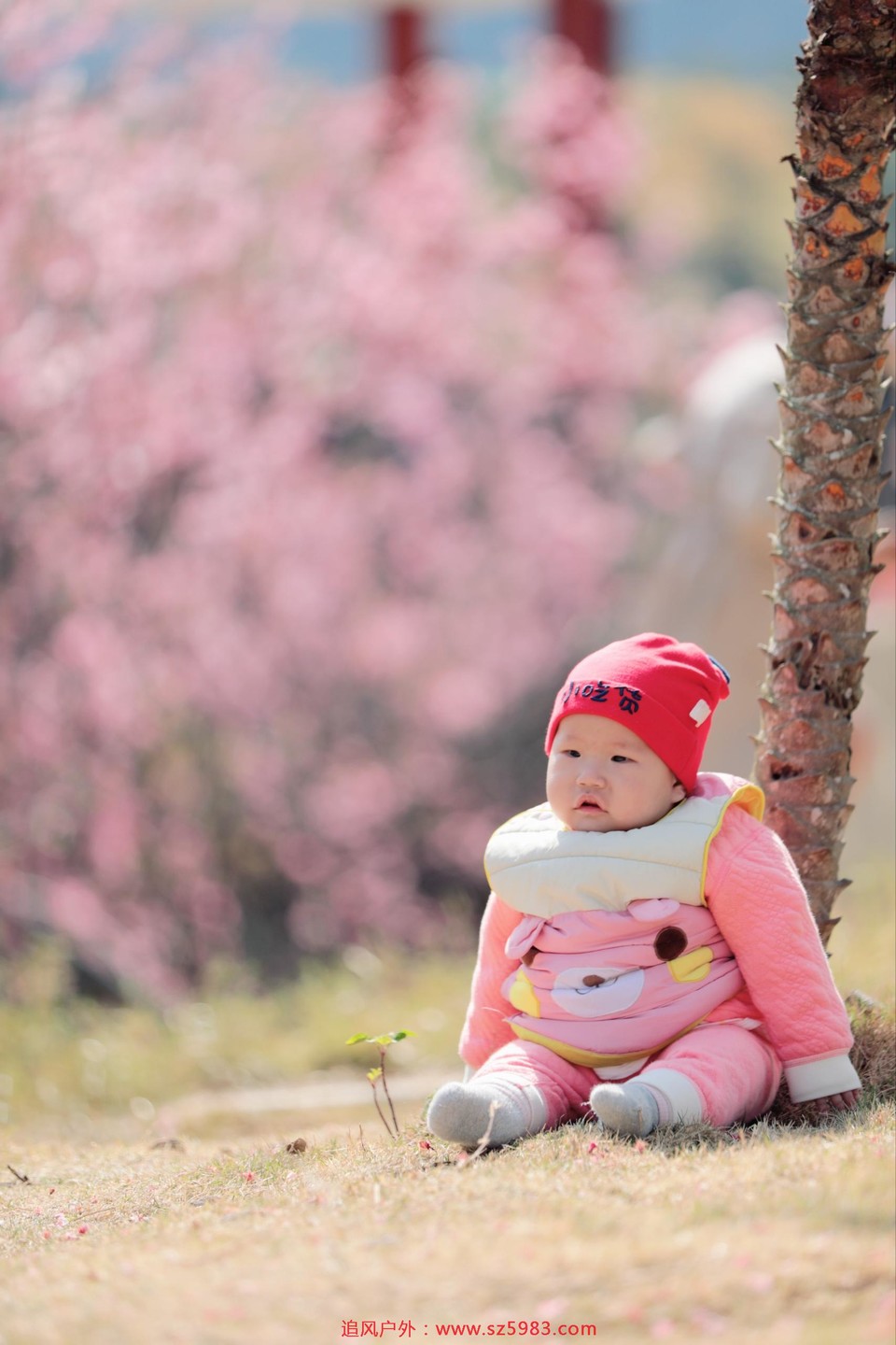 微信图片_20230223113402