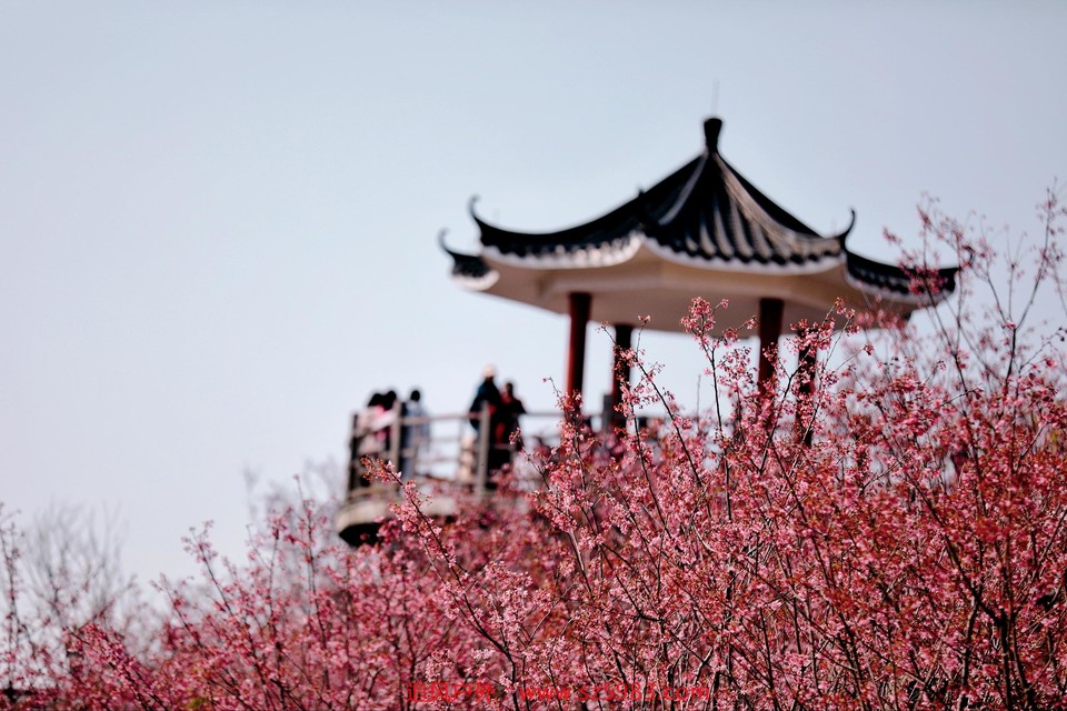 微信图片_20230223120908