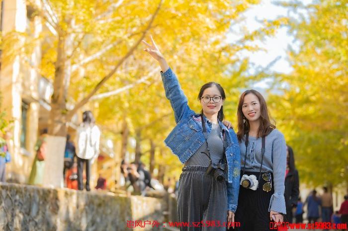 112041sulfof02yyhlkuhf