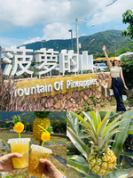 4.18周六【菠萝的山】转发65起，中山菠萝的山11km徒步，体验采摘，美食1日游