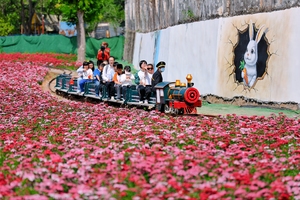 3.22周日【中山休闲】云梯山赏花海，中山故居+客家土楼品美食