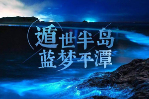 【平潭岛4天】2026五一奢游｜福州平潭・日落音乐会 + 蓝眼泪追光之旅