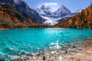 五一川西成都 九寨 稻城亚丁、重庆线路线路汇总