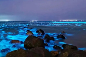 5.1-4【平潭泉州4天】遇见蓝眼泪 、深度游风车王国平潭岛、世遗名城泉州、蟳浦簪花、漳州古城