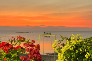 5.2-4日【广东南极秘境3天】湛江南极村、硇洲岛、菠萝的海、雷州古城。报名付定金