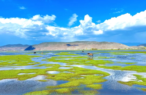 【一路向北】大理双廊-洱海旅拍-喜洲-S弯骑行-沙溪-虎跳峡-白水台-普达措-松赞林寺-纳帕海-丽江-泸沽湖7日游