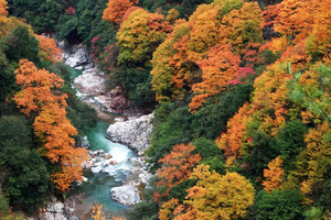 【金秋光雾山5天】2026光雾山（十八月潭·天然画廊·香炉山·黑熊沟·大小兰沟） 三星堆 阆中古城 恩阳古镇 5日全景游
