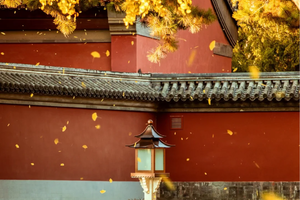 北京10-11月汇总，华东双飞合集