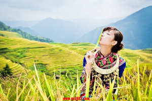 【黄姚龙脊3天】稻谷黄了，赏龙脊梯田最美秋色，诗画千年黄姚