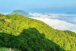 成团，买一送一，看要求，10.18每周日【七娘山土路上】转发后25元起，小环线穿越，打卡深圳第二高峰。