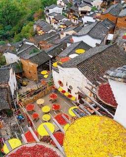 10.1-5/10.2-6【婺源+黄山5天】打卡600年篁岭古村，登黄山，赣州古城，景德镇，报名付定金